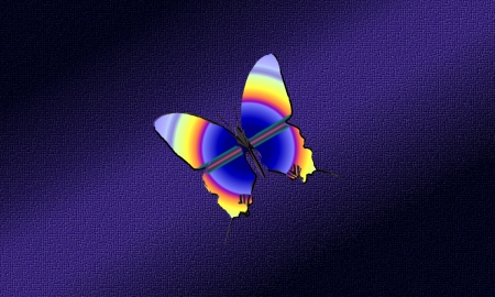 pcologist-butterfly-redrawn-02-3D