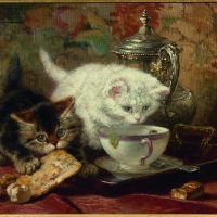 High tea