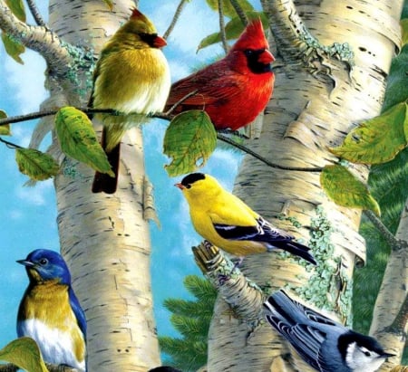 beautiful birds - backgrounds, birds, tree, beautiful