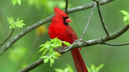 red cardinal - red, bird, cardinal, tree, branch