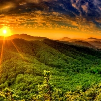 Mountain With Dense Green Forest