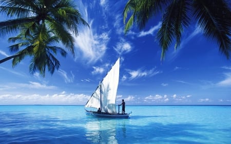 sailing over indian ocean - indian, ocean, tree, boat