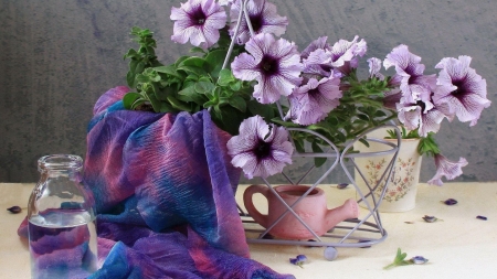 Purple Flowers in the Pot - pot, flowers, water, nature, purple, floral