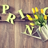 Spring Background