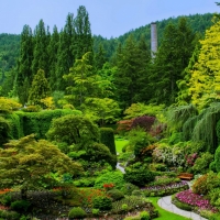 Beautiful Garden