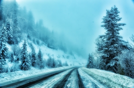 Winter - winter, nature, road, snow