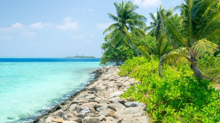 Beautiful Day - rocks, water, beach, tree, nature