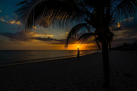 Beautiful Sunset - sunset, nature, beach, woman, tree