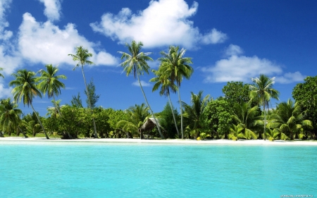 Sandy Beach - beaches, nature, ocean, trees, clouds, palm