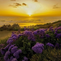 Pacific Ocean,California,USA