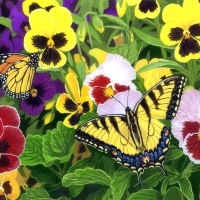 Butterfly & Pansies