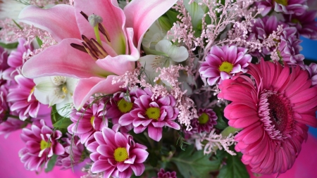 Beautiful Flowers - bloom, flowers, nature, gerbera