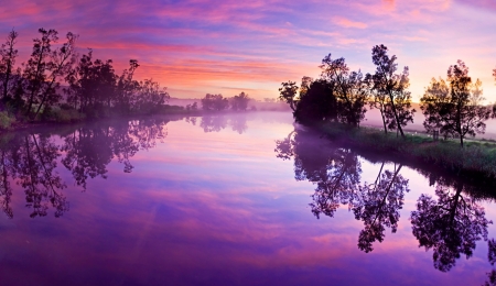 Purple River - River, Tree, Nature, Sky