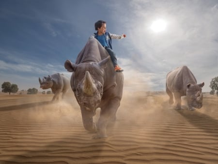 Rhino adventure - adrian sommeling, creative, copil, child, boy, dust, fantasy, safari, situation, rhino adventure, sun