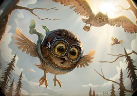 Owls - bird, fantasy, owllbufnita, glasses, funny, tiago hoisel, pasare, creative