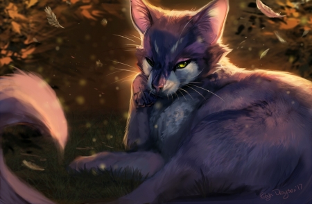 Innocence - feather, innocence, purple, cat, art, pisica, fantasy, rajewel, luminos