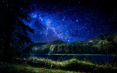 Starry Night - trees, water, stars, sky