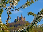 Castle Hohenzollern in Spring