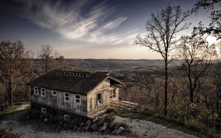 lonely house - house, tree, forest, grass