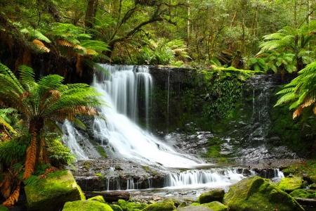 Exotic waterfall - trees, waterfall, summer, beautiful, exotic, forest