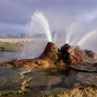 Fly Geyser, Black Rock Desert, Nevada