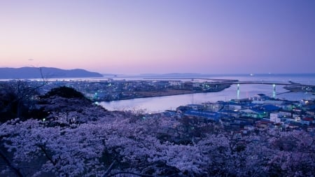 Mt. Hiyoriyama Observatory - hiyoriyama, japan, village, ocean, sky, scenery, city, japanese, nature, mountain, observatory