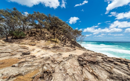 beach - fun, nature, beach, ocean, cool