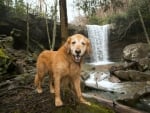 Cucumber Falls, Ohiopyle State Park, Pennsylvania