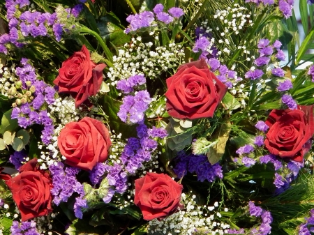 beautiful flowers - plant, gypsophila, rose, flower