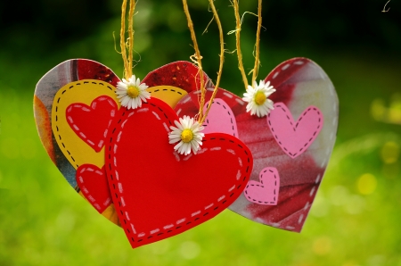 Spring love - love, hearts, pretty, beautiful, flowers, daisies, spring