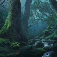 Forest silence