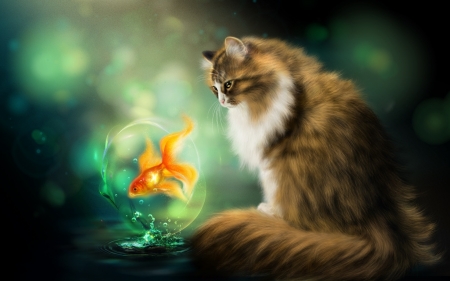 The golden fish - cat, water, golden fish, fantasy, pisica, bubble, luminos, green, alenaekaterinburg