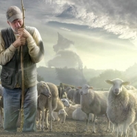 The shepherd