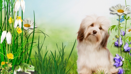 Spring Puppy - puppy, fluffy, frog, pet, flowers, pup, firefox persona theme, spring