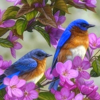 Bluebirds & Spring Blossoms