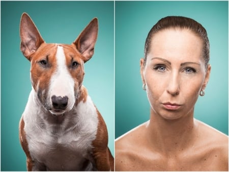 I don't think so! - face, funny, animal, collage, girl, blue, mood, daine, woman, dog