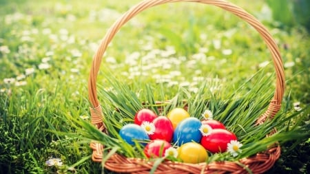 Easter Eggs - eggs, easter, basket, grass