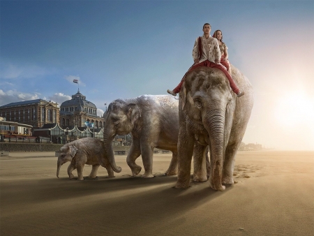 Wrong destination - fantasy, people, elephant, wrong destination, situation, adrian sommeling, couple, creative