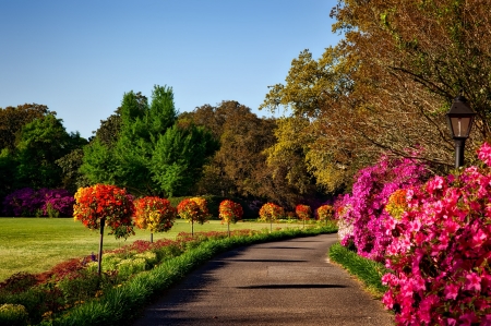 Spring park - freshness, park, lovely, spring, pretty, walk, beautiful, alley, flowers, grass