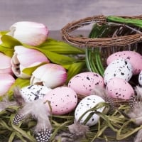 Basket of Tulips and Easter Eggs