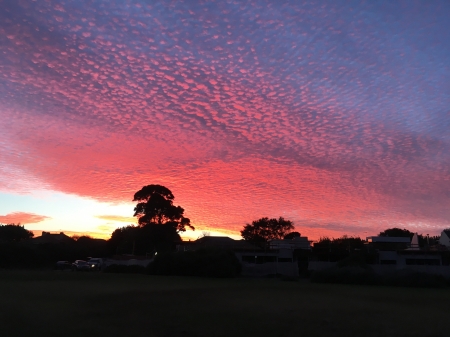 Pink Sky Sunrise - morning, sky, autumn, clouds, pink, sunrise