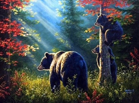 The Lookout! - summer, attractions in dreams, paintings, cubs, love for seasons, bears, family, forests, nature, animals