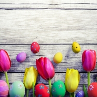 Easter Eggs and Tulips