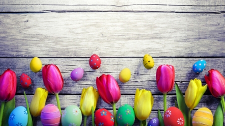 Easter Eggs and Tulips - easter, flowers, eggs, tulips