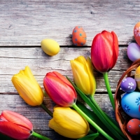 Easter Eggs and Tulips