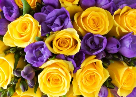 Freesias and roses - skin, yellow, freesia, spring, flower, pink, purple, rose, texture