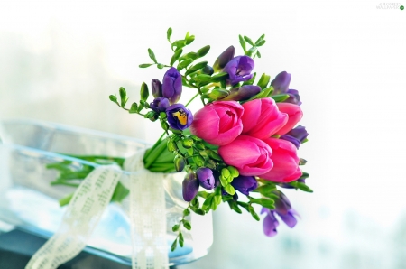 Spring flowers - flower, purple, pink, bouquet, freesia, tulip, spring