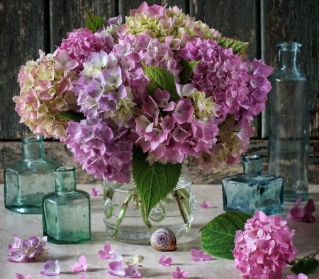 Hydrangea - glass, pink, blue, hydrangea, bouquet, flower, vase