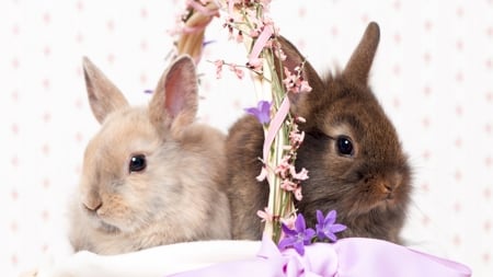 Easter Bunnies - flowers, basket, rabbits, bunnies, spring, Easter, ribbons