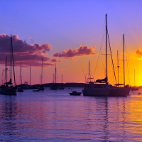 Sunset over the harbour